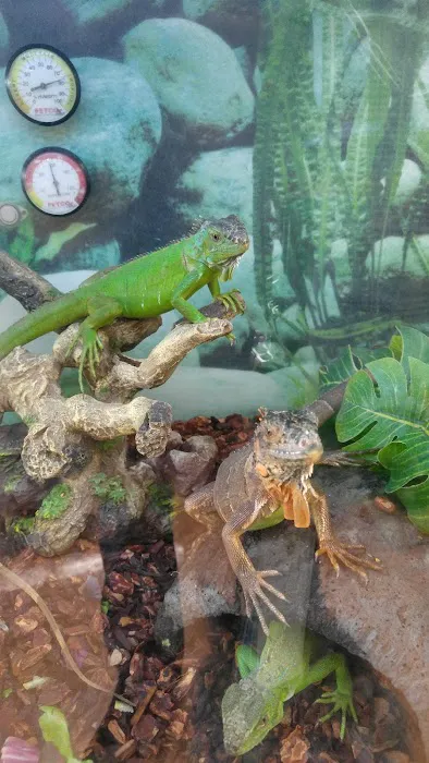 Petco Picture 10
