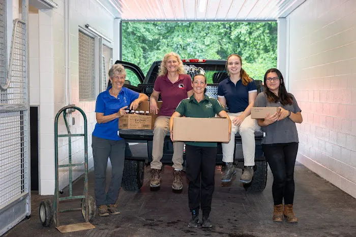 Equine Veterinary Care Picture 8