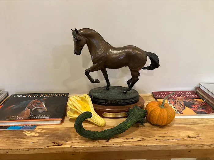 Equine Veterinary Care Picture 10