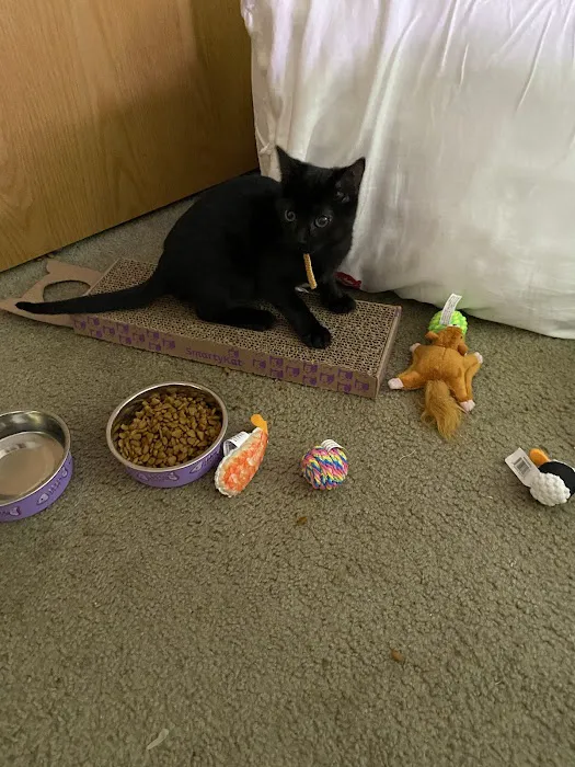 Pets and Friends JV Picture 6