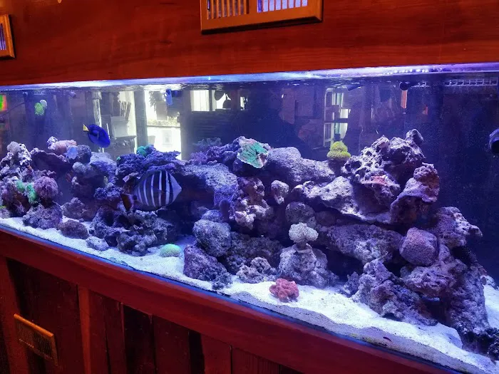 Sofishticated Aquatics Picture 1
