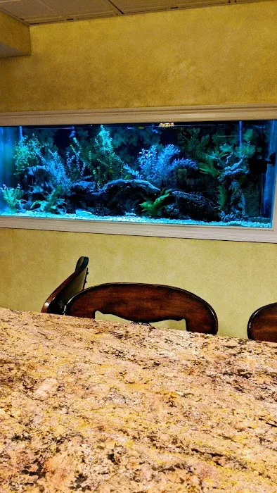 Sofishticated Aquatics Picture 2