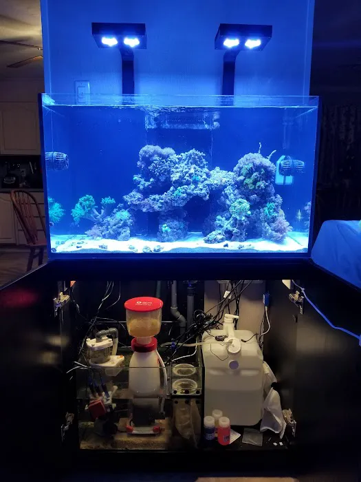 Sofishticated Aquatics Picture 5