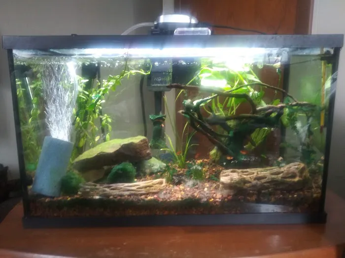 Sofishticated Aquatics Picture 7