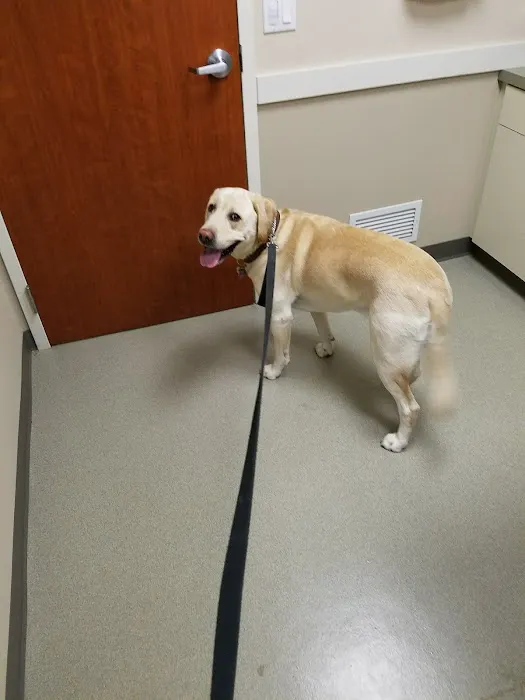 Stoneback Veterinary Associates Picture 3