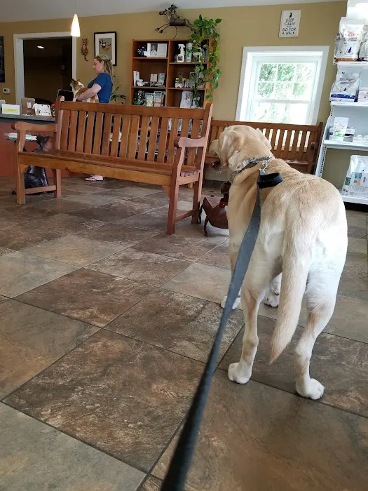 Stoneback Veterinary Associates Picture 5