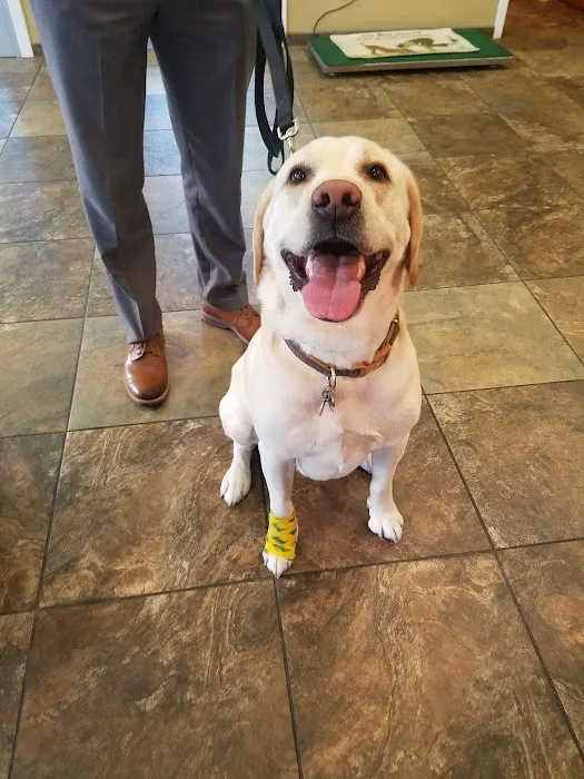 Stoneback Veterinary Associates Picture 6