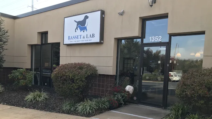 Basset and Lab Picture 3