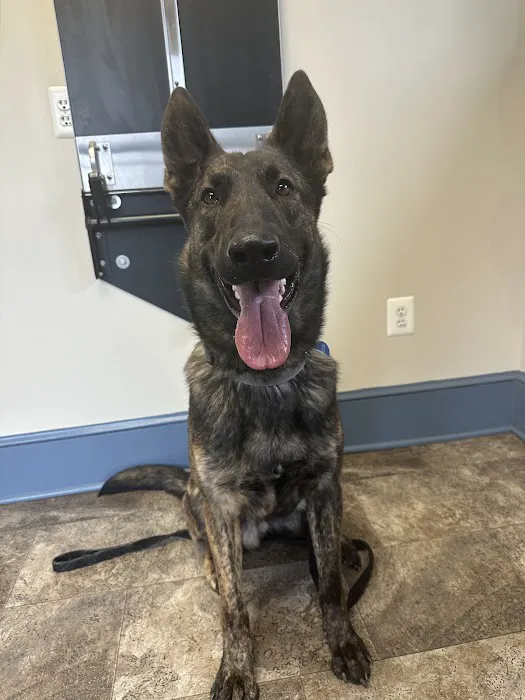 Elk Creek Veterinary Services, LLC Picture 3