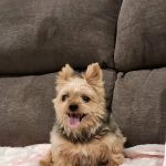 Elk Creek Veterinary Services, LLC