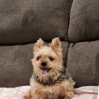 Elk Creek Veterinary Services, LLC ico