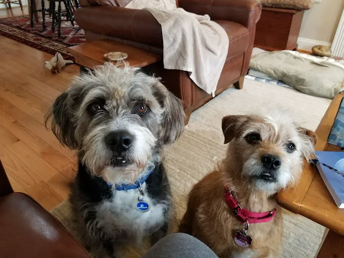 Elk Creek Veterinary Services, LLC Picture 5