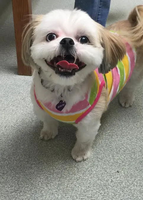 Oxford Veterinary Hospital Picture 1