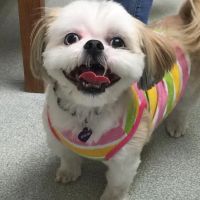 Oxford Veterinary Hospital ico