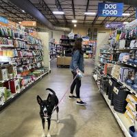 That Fish Place - That Pet Place ico