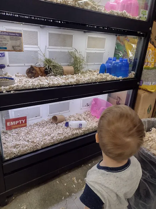 That Fish Place - That Pet Place Picture 4