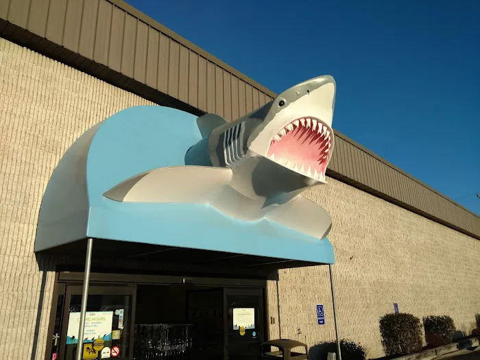 That Fish Place - That Pet Place Picture 3