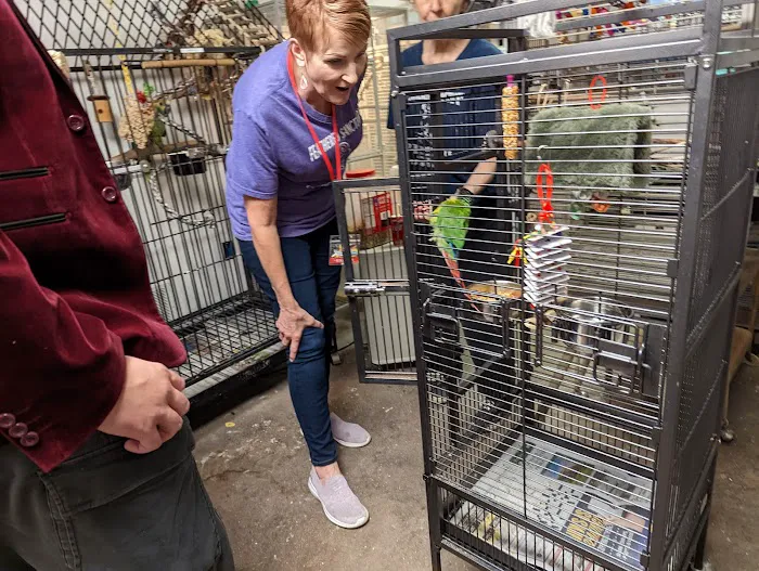 That Fish Place - That Pet Place Picture 5