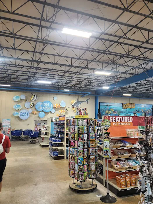 That Fish Place - That Pet Place Picture 9