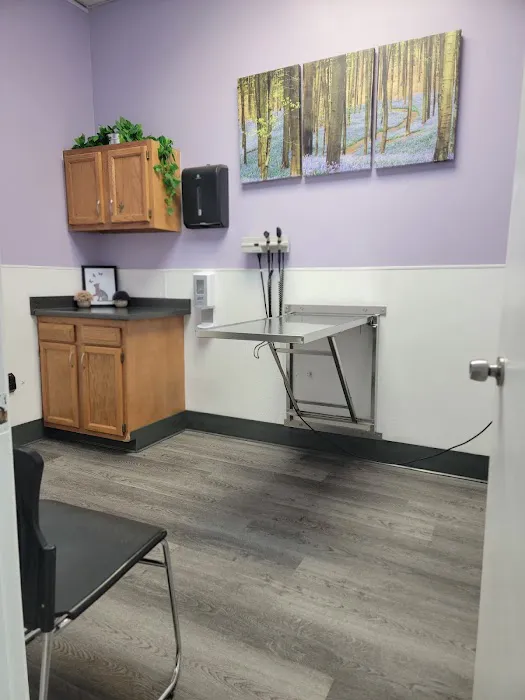 VCA Glasgow Animal Hospital Picture 5