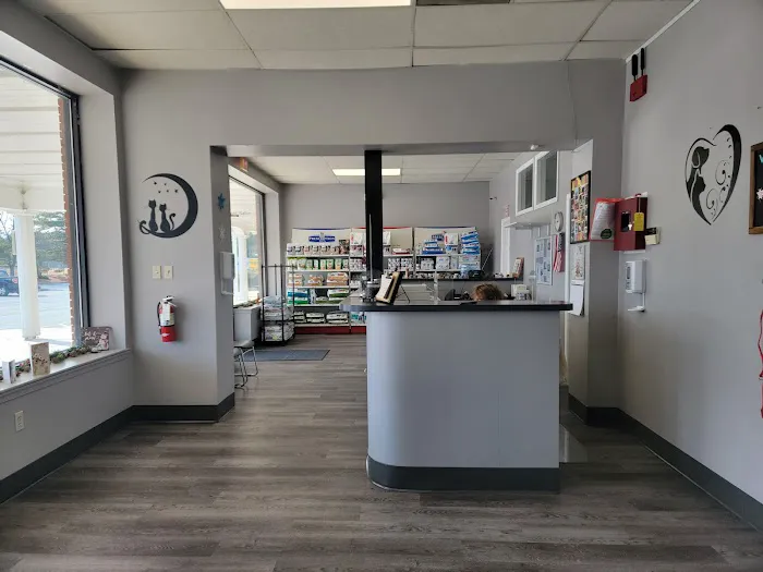 VCA Glasgow Animal Hospital Picture 3