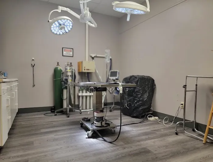 VCA Glasgow Animal Hospital Picture 7