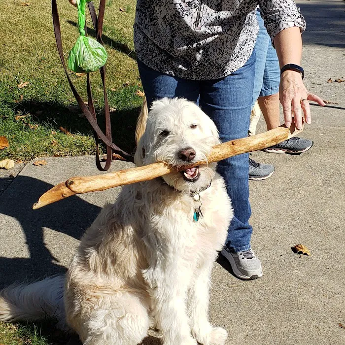 Barleycroft Kennel Picture 1
