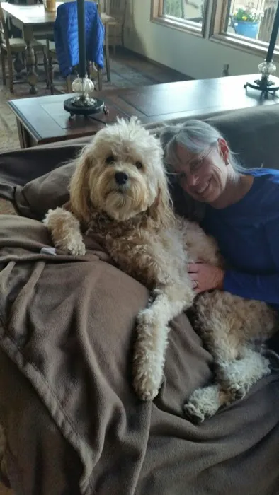 Barleycroft Kennel Picture 2