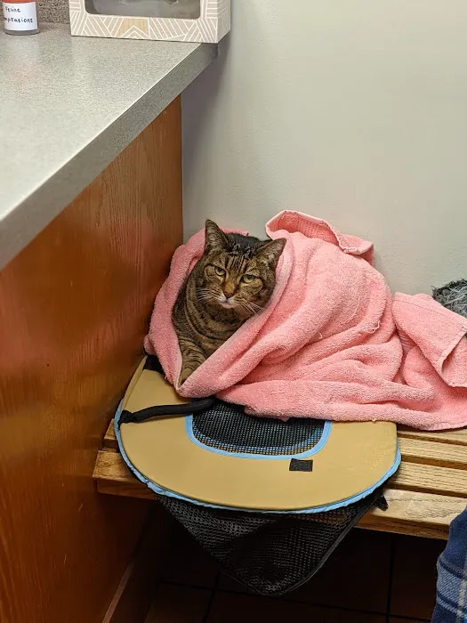 Lums Pond Animal Hospital Picture 5