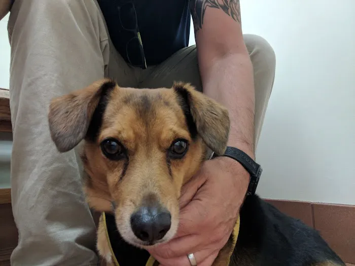 Lums Pond Animal Hospital Picture 3