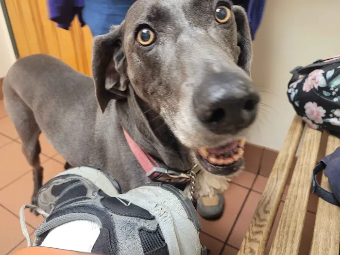 Lums Pond Animal Hospital Picture 7