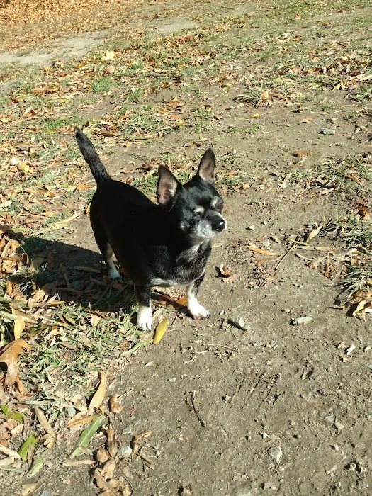 Lums Pond Animal Hospital Picture 10