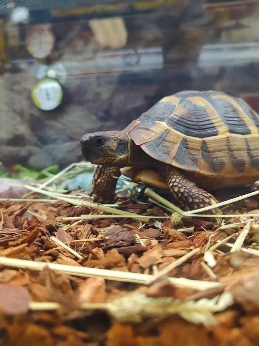 Petco Picture 7