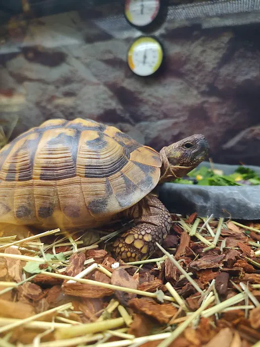 Petco Picture 10
