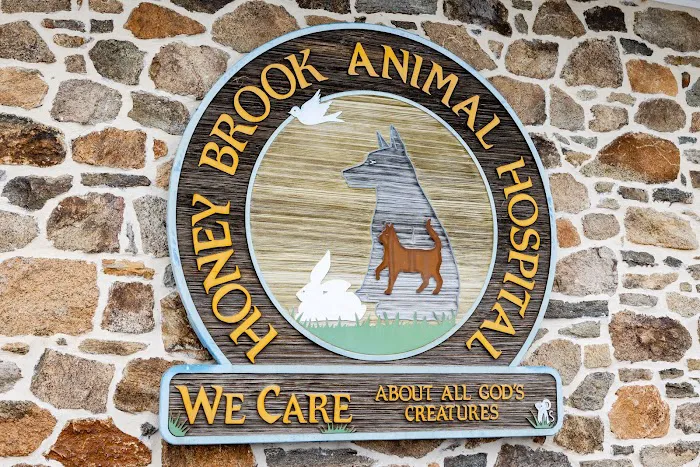 Honey Brook Animal Hospital Picture 3