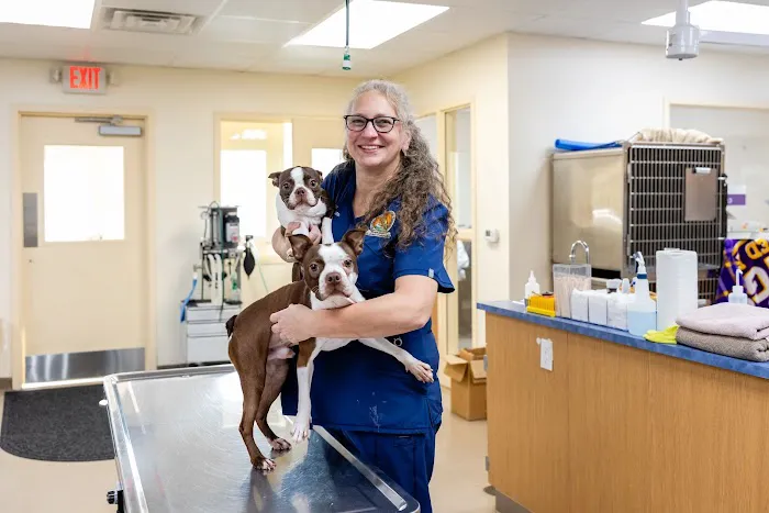 Honey Brook Animal Hospital Picture 4