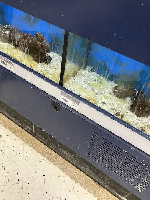 Petco Picture 7