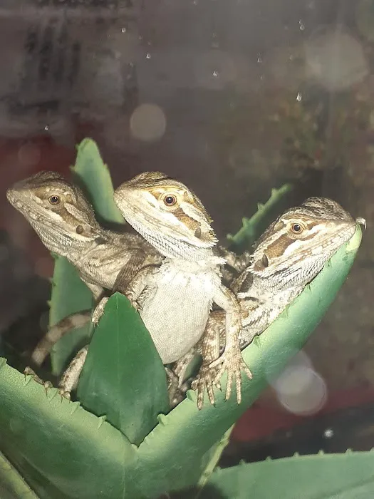 Petco Picture 6