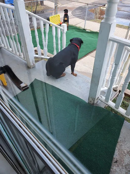 Petco Picture 4