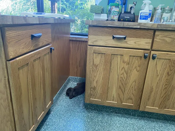 Noah's Glen Animal Hospital - Patricia Slanga, VMD Picture 5