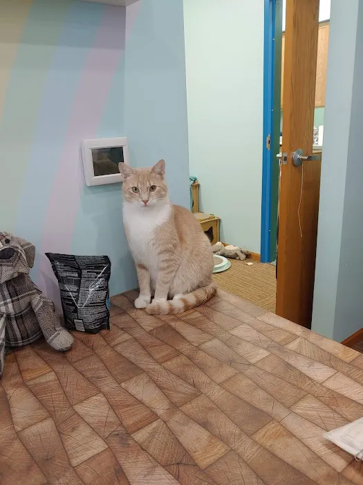 Noah's Glen Animal Hospital - Patricia Slanga, VMD Picture 2