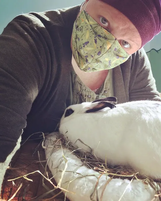 Noah's Glen Animal Hospital - Patricia Slanga, VMD Picture 8