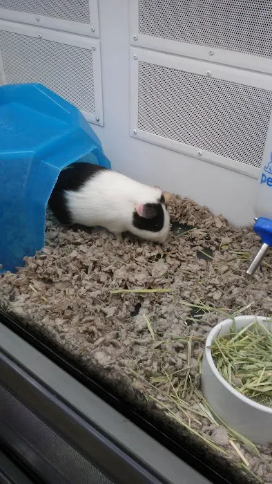 Petco Picture 3