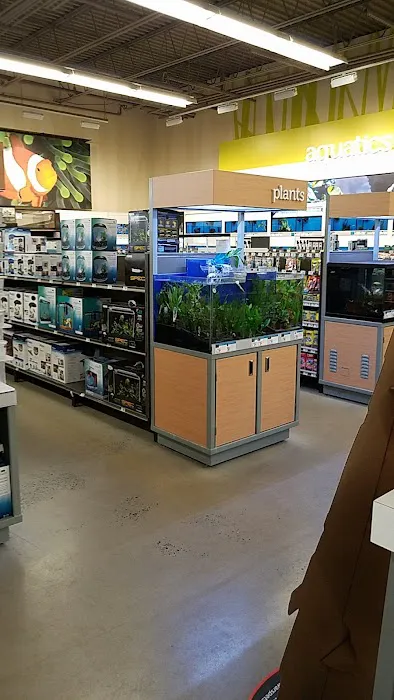 Petco Picture 8