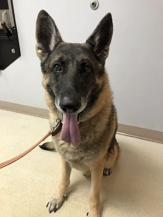 Country Companion Animal Hospital Picture 2