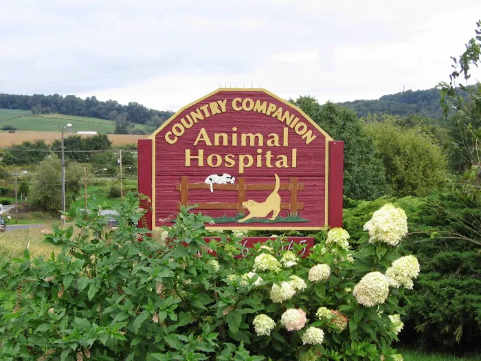 Country Companion Animal Hospital Picture 1