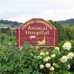 Country Companion Animal Hospital