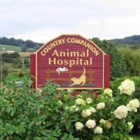 Country Companion Animal Hospital ico