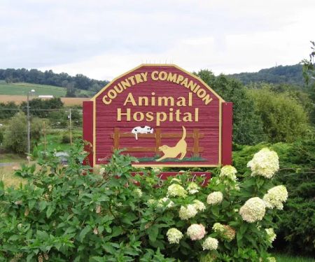 Country Companion Animal Hospital