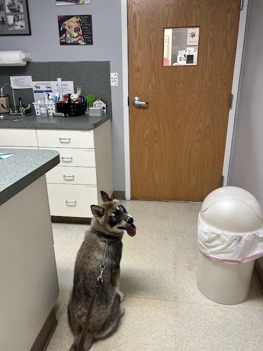 Country Companion Animal Hospital Picture 10